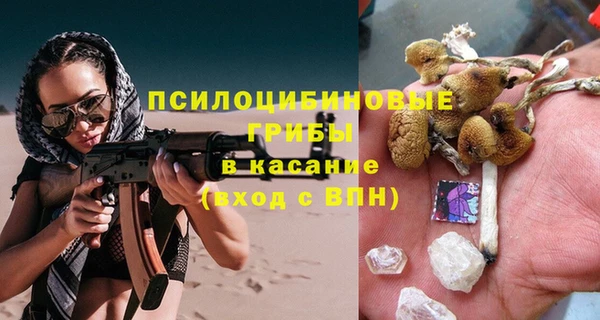 меф Горняк