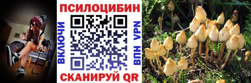Галлюциногенные грибы GOLDEN TEACHER  дарнет шоп  Хабаровск 