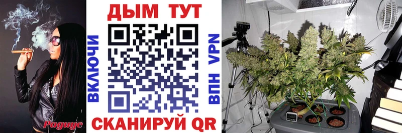 закладка  кракен ТОР  Канабис Bruce Banner  Хабаровск 